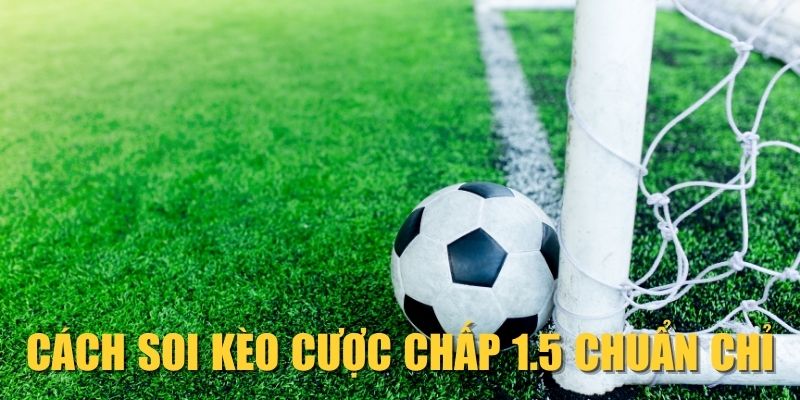 cach-soi-keo-cuoc-chap-1-5-chuan-chi