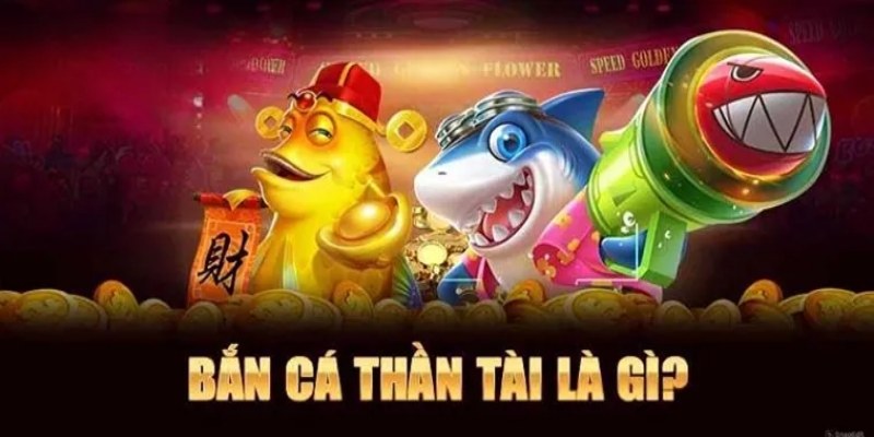 doi-chut-thong-tin-ve-san-quai-than-tai