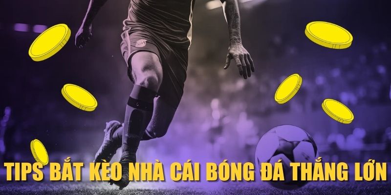 tips-bat-keo-nha-cai-bong-da-thang-lon